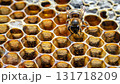 Macro closeup of bee hive with detail of honeycomb 131718209