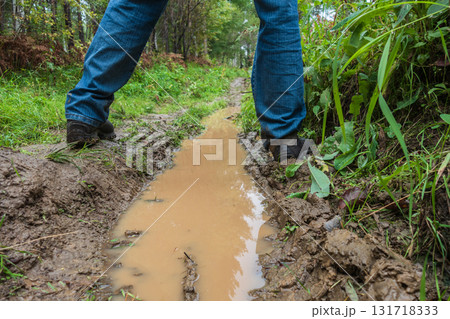 wet and muddy path amidst lush greenery in wooded area during rainy day. closeup. 131718333