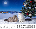 ホワイトクリスマスの月夜の猫たち 131718393