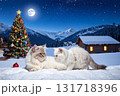 ホワイトクリスマスの月夜の猫たち 131718396