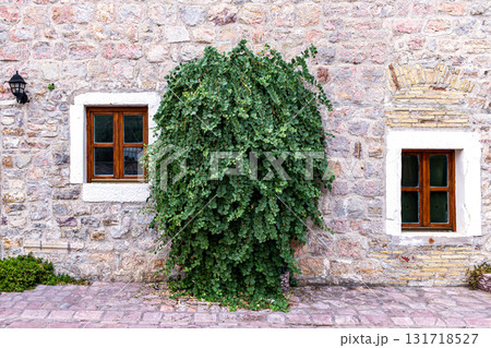 Old Stone Wall with Wooden Windows and Central Green Shrub Old Stone Wall with Wooden Windows and Central Green Shrub 131718527