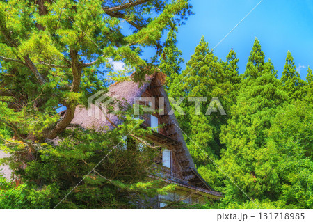 合掌造り住居【富山県五箇山】 131718985