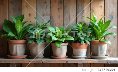 shelf with five potted green plants 131719334