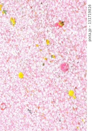 川に浮かぶ桜 川に浮かぶ桜 131719816