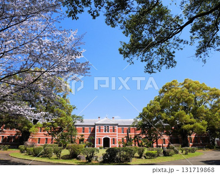 春の五高記念館と青空　（熊本市、熊本大学黒髪キャンパス） 131719868