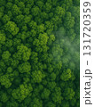 Aerial View of a Vast Misty Forest Canopy in Summe 131720359