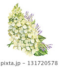 watercolor hydrangea branches with flowers, leaves and twigs, garden flowers in vintage style, pastel green colors blossom flowers heard, bud for greeting card, anniversary, wedding decoration 131720578