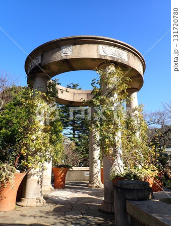 バラとカスケードの庭　港の見える丘公園 131720780