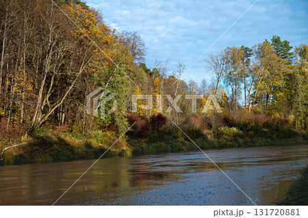river Gauja flows through an autumn forest, Sigulda, Latvia, Gauja National Park river Gauja flows through an autumn forest, Sigulda, Latvia, Gauja National Park 131720881