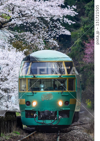 桜と列車 131721505