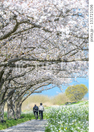 春風を受けて 131721506