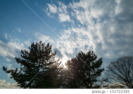 various various 131722385