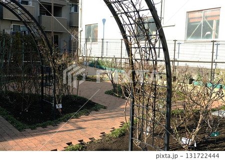 太陽がまぶしく感じられる早春の森ケ崎緑華園 太陽がまぶしく感じられる早春の森ケ崎緑華園 131722444