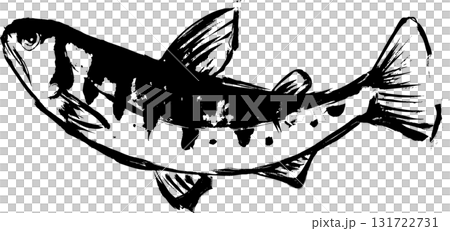 山女鱒魚墨繪 - 日式山女鱒魚插畫素材 山女鱒魚墨繪 - 日式山女鱒魚插畫素材 131722731