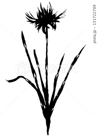 彼岸花のシルエットイラスト|曼珠沙華|秋の花ベクター素材 彼岸花のシルエットイラスト|曼珠沙華|秋の花ベクター素材 131722789
