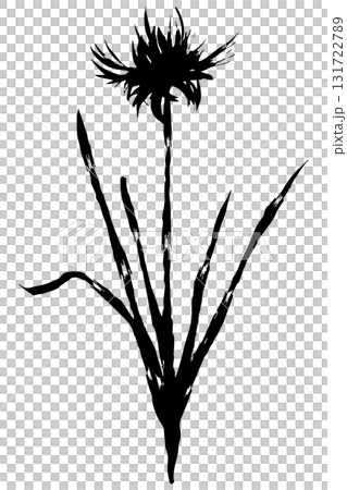 彼岸花のシルエットイラスト|曼珠沙華|秋の花ベクター素材 彼岸花のシルエットイラスト|曼珠沙華|秋の花ベクター素材 131722789