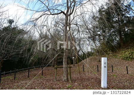 一関城014 本丸、愛姫 131722824