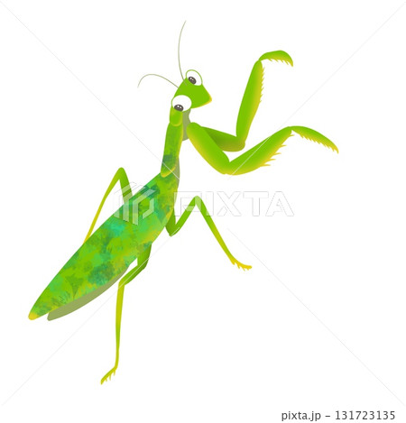 カマキリ1 カマキリ1 131723135