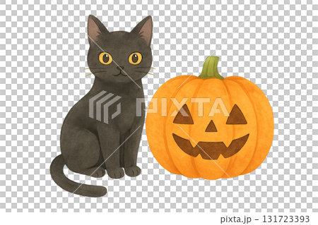 萬聖節南瓜和黑貓向量插圖 131723393