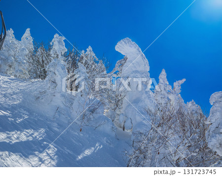 青空の下にそびえるスノーモンスターと呼ばれる樹氷群 (長野県、志賀高原、横手山) 131723745
