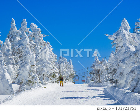 樹氷の回廊をゆくスキーヤーと快晴の青空が広がる雪山 (群馬県、渋峠) 131723753