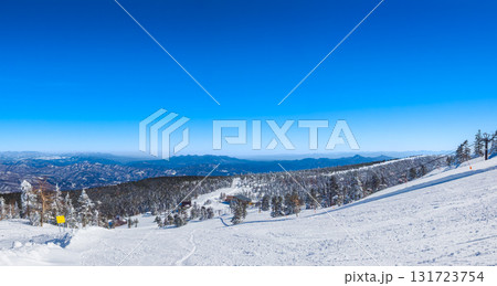広大な針葉樹林と遠くの山並みが広がる冬のゲレンデ (群馬県、渋峠) 131723754