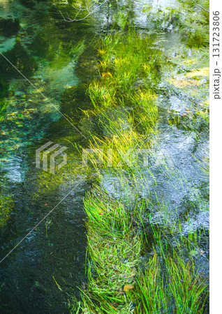 湧水川の水面【安曇野】 131723806