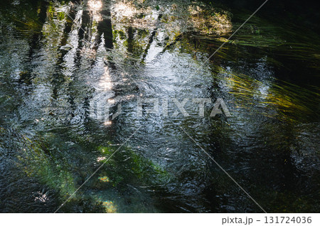 朝の木漏れ日に輝く湧水川【安曇野】 朝の木漏れ日に輝く湧水川【安曇野】 131724036