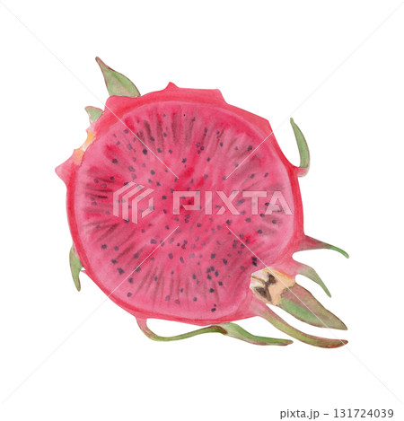 Bright pink dragon fruit slice with vivid seeds, green details. Hand-painted watercolor illustration isolated on white. Perfect for tropical food design, packaging, healthy lifestyle projects, prints. 131724039