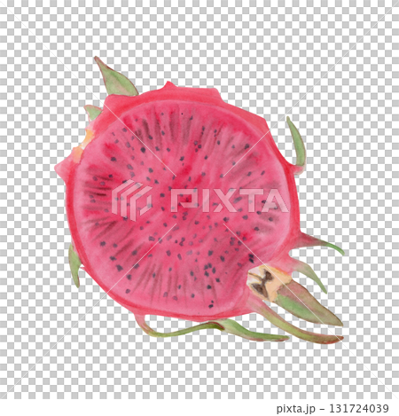 Bright pink dragon fruit slice with vivid seeds, green details. Hand-painted watercolor illustration isolated on white. Perfect for tropical food design, packaging, healthy lifestyle projects, prints. 131724039