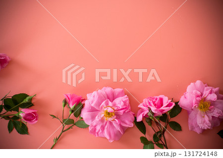 Flower arrangement with roses for background and text 131724148