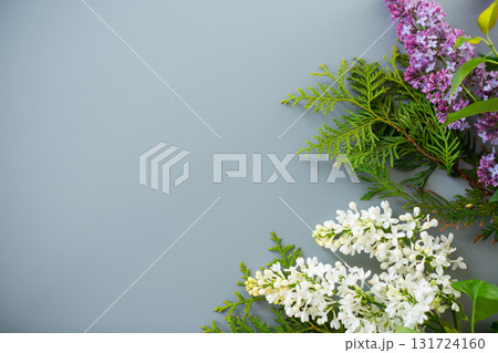 Bouquet of white and lilac lilacs on a gray background 131724160