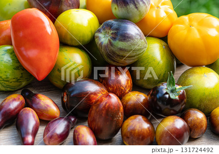 freshly picked tomatoes of different varieties and colors on a table in the garden, closeup freshly picked tomatoes of different varieties and colors on a table in the garden, closeup 131724492