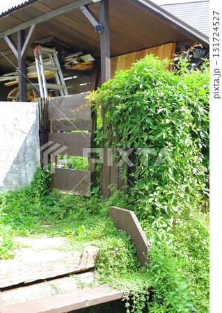 木漏れ日、夏の庭。昼下がりの癒し空間 131724527
