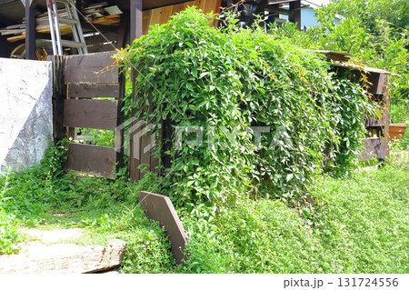 木漏れ日、夏の庭。昼下がりの癒し空間 131724556