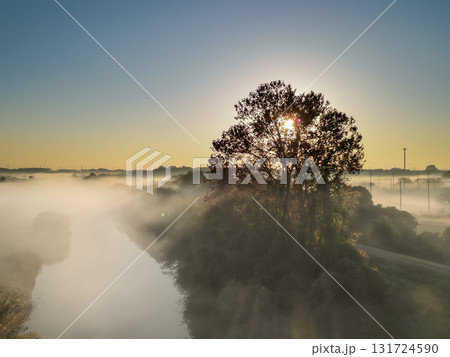 空撮「埼玉県」霧が立ち込める早朝の見沼田んぼ　秋 131724590