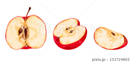 Fruit set of red apple parts. Healthy eating. Botanical watercolor illustration. Hand drawn isolated art. Clip art for food packaging design, menus and juices. Harvesting, production. 131724603