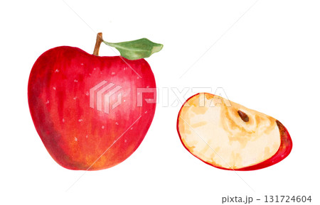 A whole red apple with a slice. Watercolor and marker illustration. Hand drawn isolated image. Harvesting. Production. Clipart with botanical natural fruits for food packaging, juice and jam 131724604