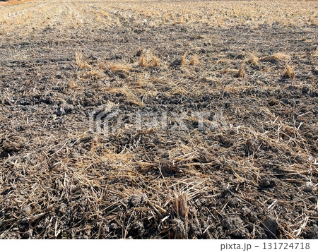 冬の田んぼ 131724718