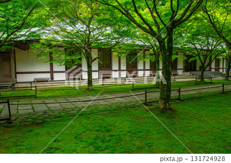呑山観音寺の参道 131724928