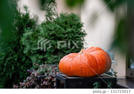 orange big pumpkin on a wooden table on the terrace, Halloween holiday decoration concept 131725017