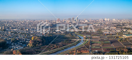 空撮「埼玉県」早朝　見沼田んぼの秋風景 131725105