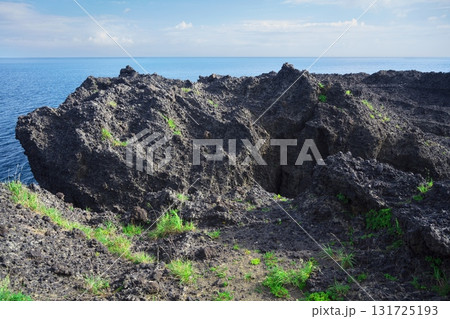 夏の津軽半島 鋳釜崎の奇岩 夏の津軽半島 鋳釜崎の奇岩 131725193