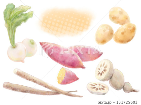 水彩の美味しそうな10月の秋の根菜セットイラスト（さつまいも・かぶ・じゃがいも・ごぼう・れんこん） 131725603