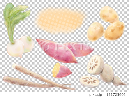 Watercolor illustration of delicious October autumn root vegetables set (sweet potato, turnip, potato, burdock, lotus root) Watercolor illustration of delicious October autumn root vegetables set (sweet potato, turnip, potato, burdock, lotus root) 131725603