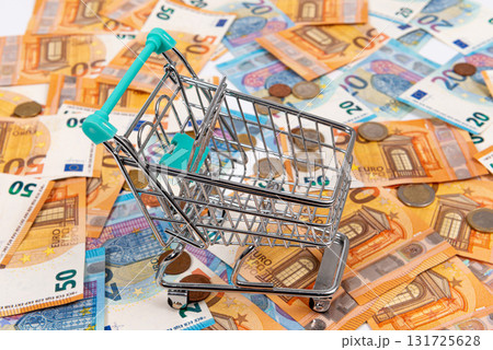 mini shopping cart on the background of euro coins and banknotes, close-up mini shopping cart on the background of euro coins and banknotes, close-up 131725628