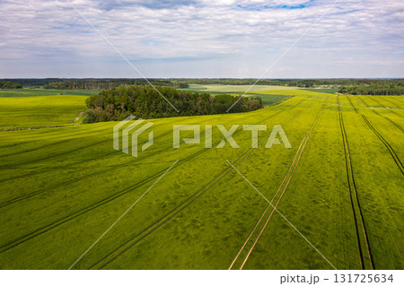 aerial view to countryside with green agricultural fields and forests aerial view to countryside with green agricultural fields and forests 131725634