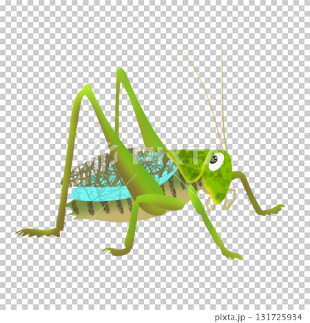 キリギリス2 キリギリス2 131725934