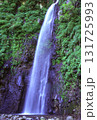 赤城山麓の滝沢不動滝 131725993