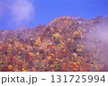 紅葉が進んだ山に霧がかかる 131725994